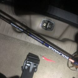 アジングで新たな外道